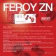 FEROY ZN Iron and Zinc Tablets: Dual Support for Immunity and Anemia, 30 Tablets