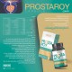 PROSTAROY Capsules, Prostate Health, Urinary Detox, Hormonal Balance, and Antioxidant Protection, 30 Capsules